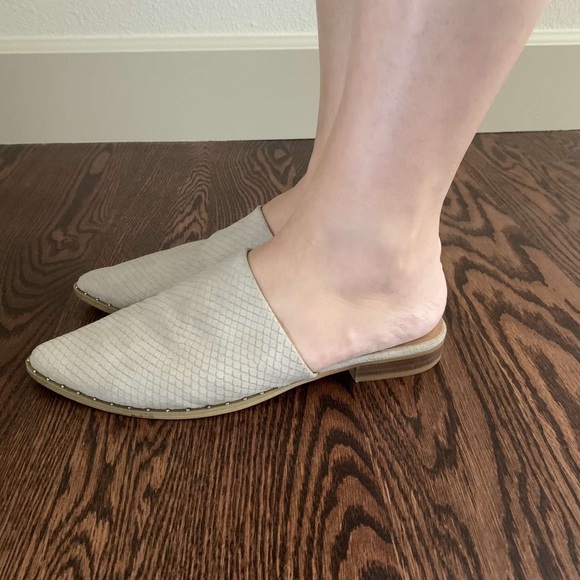 Report mules - Picture 5 of 8